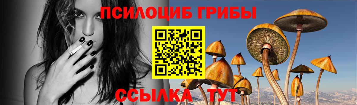Галлюциногенные грибы мицелий  Псилоцибиновые грибы ЛСД  Нарьян-Мар  Вход с VPN 